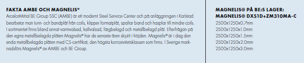 faktamagnelis.png